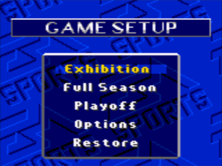 NFL 95 screenshot 5 for Sega Game Gear